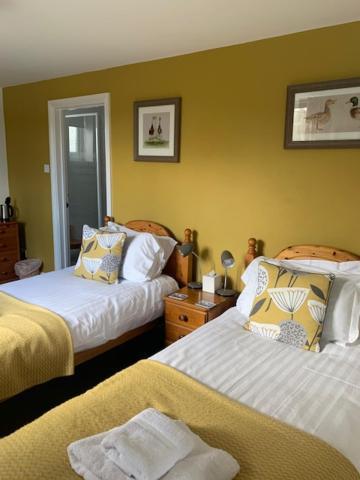 The Firs At Hay-On-Wye B&B Extérieur photo