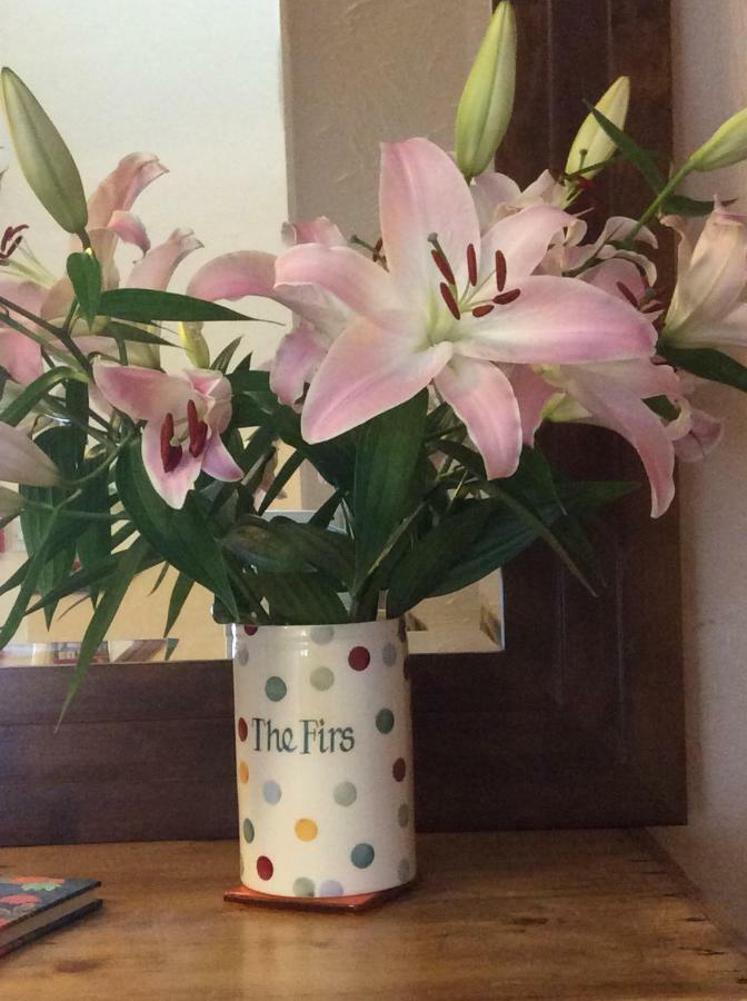 The Firs At Hay-On-Wye B&B Extérieur photo